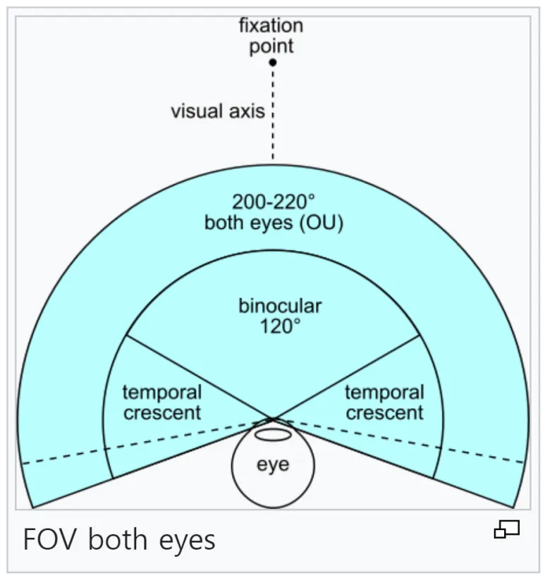 눈의가로FOV