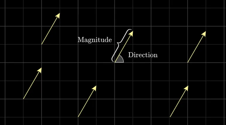 Vector(벡터)란? 물리학,컴공,수학 관점에서 본 벡터 개념 완전 정리 3 크기와 방향