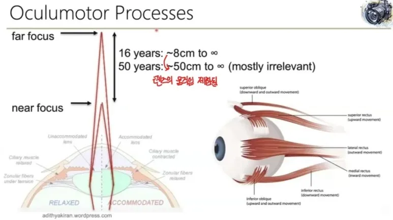 Depth perception (깊이 인식) 이란? 단안·양안 단서부터 VR 착시 문제까지 쉽게 정리 2 1 깊이인식