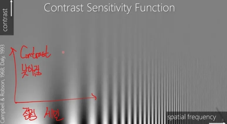 시각 해상도란? Spatial Resolution, Temporal Resolution, CPD 총정리 5 4 CSF
