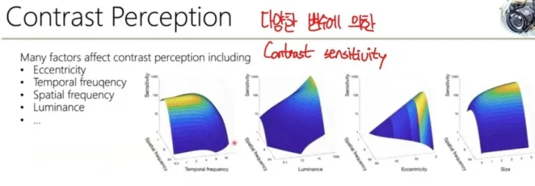 시각 해상도란? Spatial Resolution, Temporal Resolution, CPD 총정리 7 6 Contrast