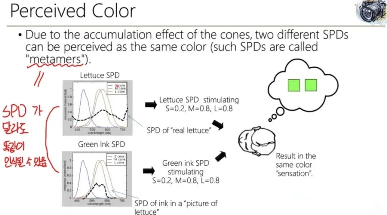 Color (색상)이란? 빛의 파장부터 인간의 인지까지 색의 원리 완전 정리 10 9 인식되는색상