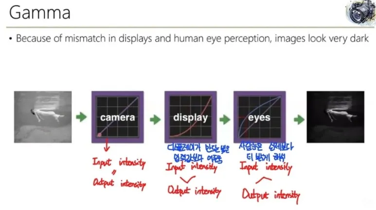 Gamma Correction이란? 감마 보정의 원리와 디스플레이 보정 이유 4 감마란